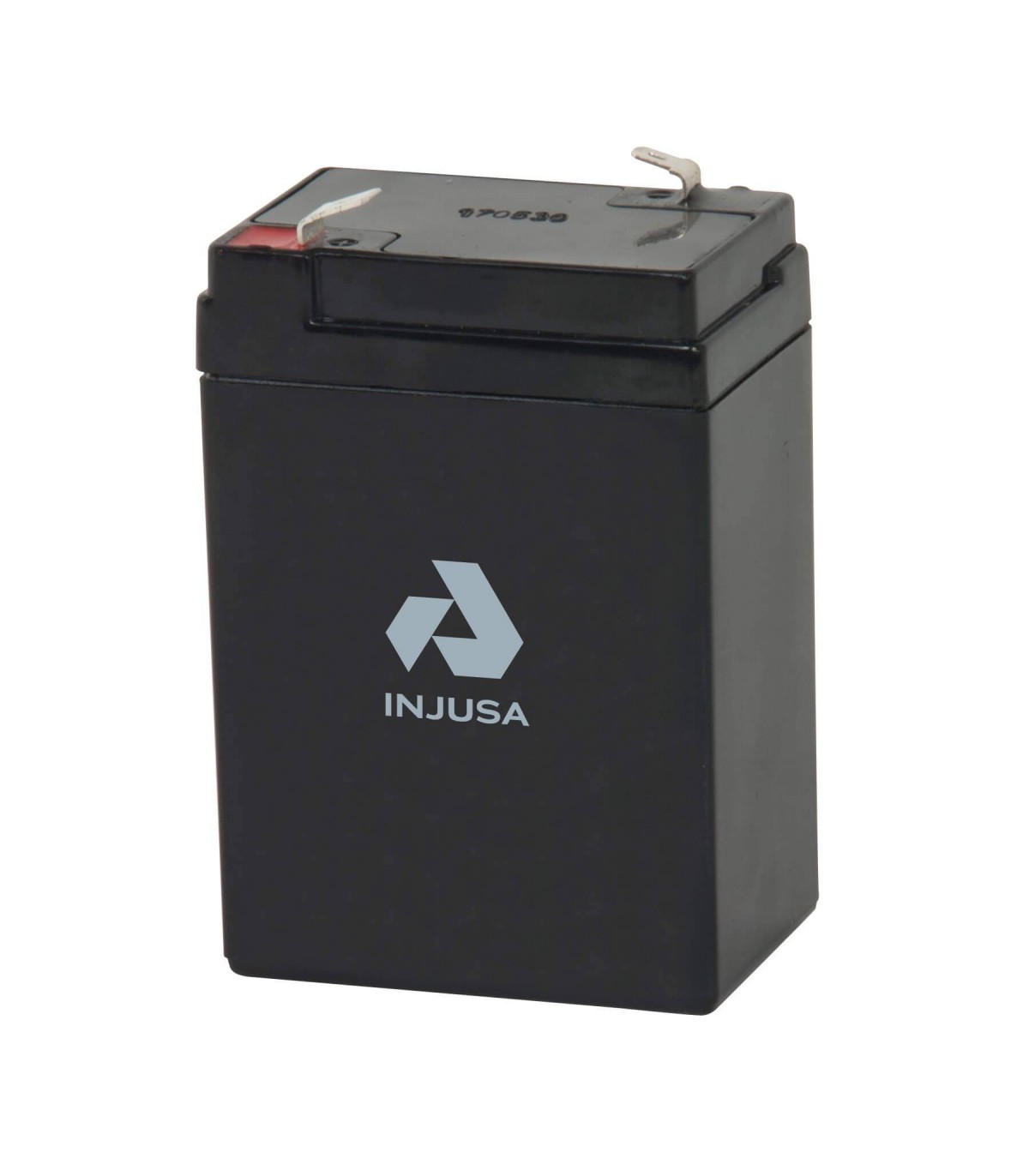 https://www.injusa.com/132-superlarge_default/batterie-rechargeable-6v-45-ah-injusa.jpg