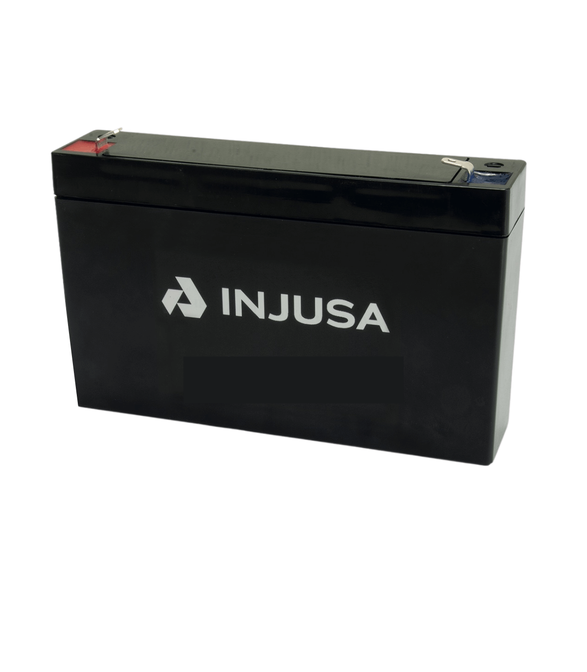 Chargeur de Batterie au Lithium 12V d'Injusa